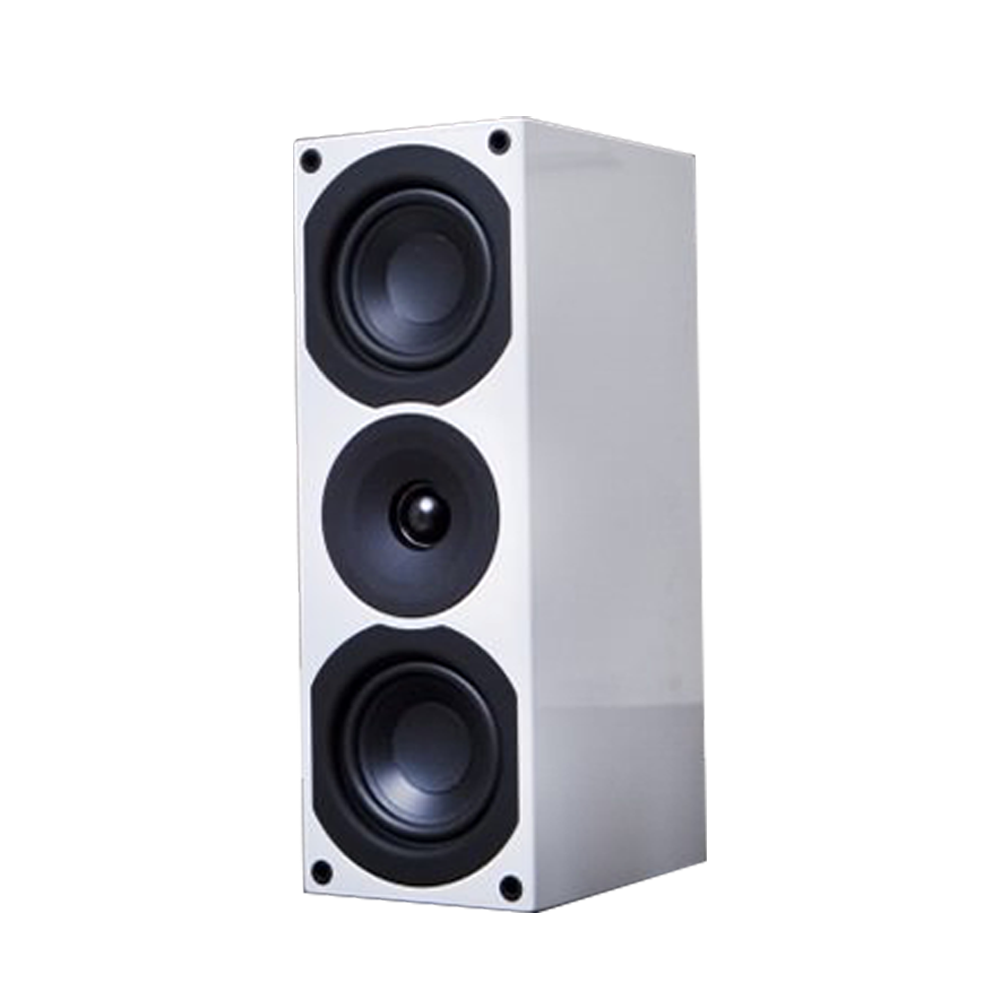 System Audio Saxo 10